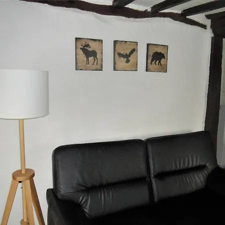 With Ceilings In Σπίτι διακοπών Han-sur-Lesse